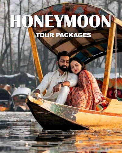 Honeymoon Tour Packages